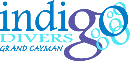 Indigo Divers