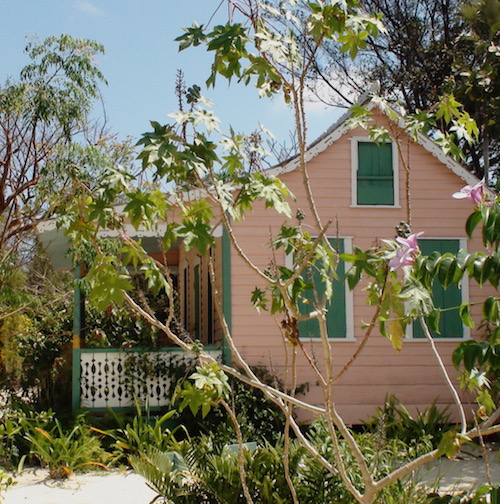 Indigo Divers Grand Cayman - Local Guide & Information Image 2