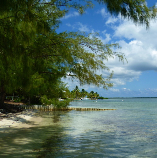 Indigo Divers Grand Cayman - Local Guide & Information Image 3