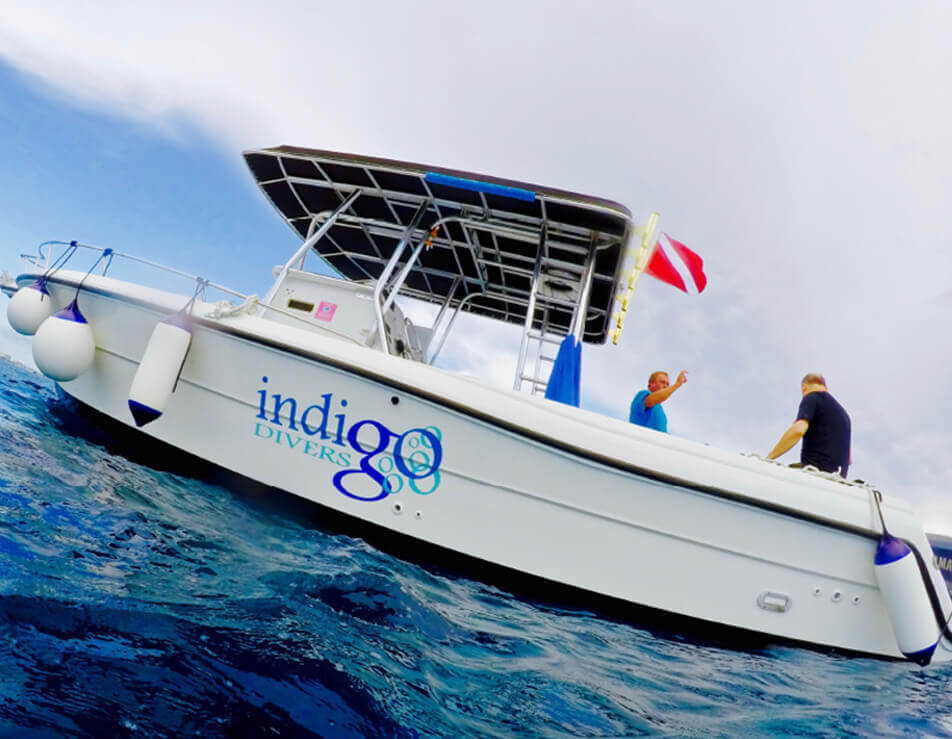 Indigo Divers Grand Cayman - Our Boats Image 2
